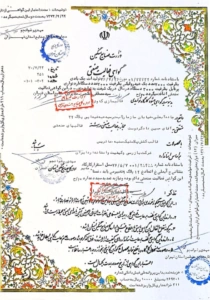 Asset-32.webp