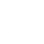 شرکت ماموت
